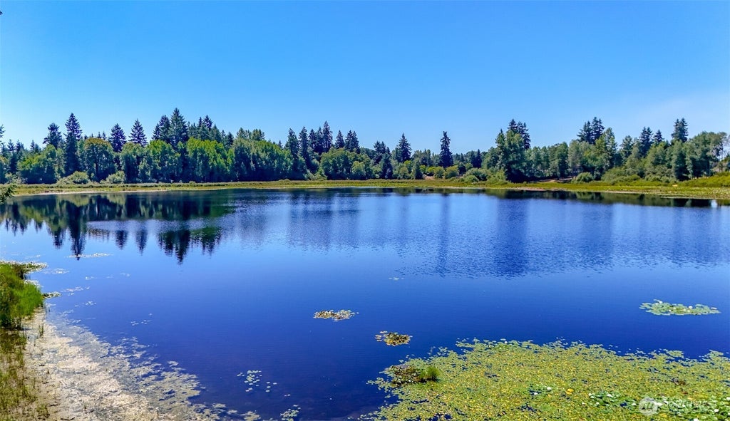 6045 Mullen Road Se, Lacey