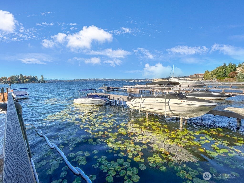 4561 Lake Washington Boulevard Ne 303, Kirkland