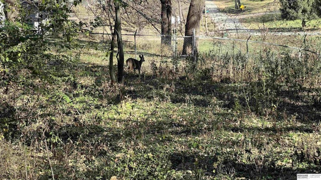 Photo of Listing #22502285