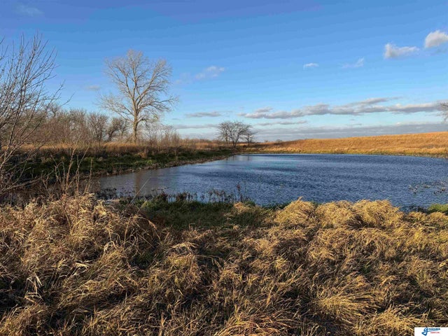 Photo of Listing #22533751