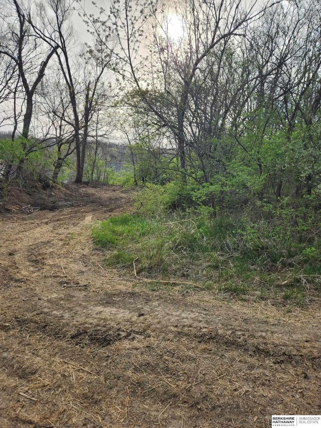 Photo of Listing #22604307