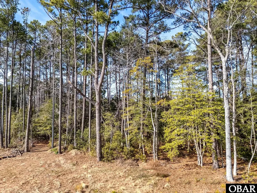 Shady Pines Lane Lot 31, Manteo
