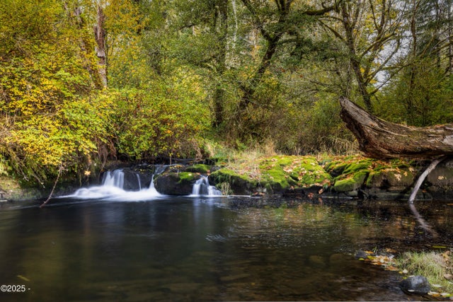 563 Moonshine Park Road, Logsden