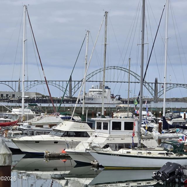 1000 Se Bay Boulevard 445, Newport