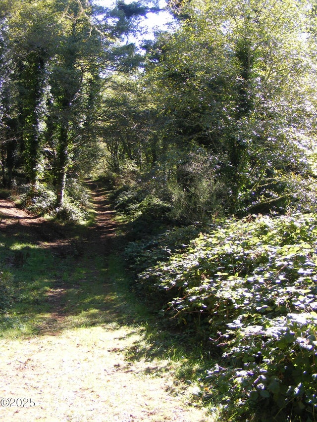 1000 Ne Norman Street, Newport