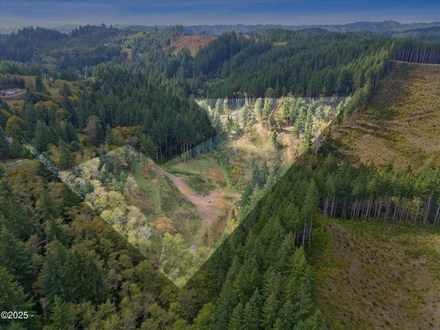 Vl Pioneer Mountain Loop, Toledo