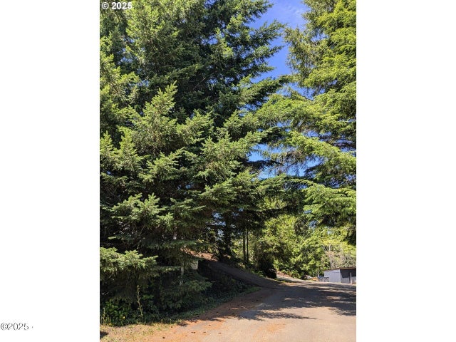 0 Rebel Road, Waldport