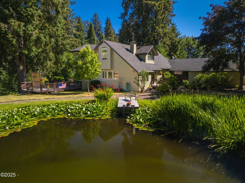 Spring-fed pond with lily pads