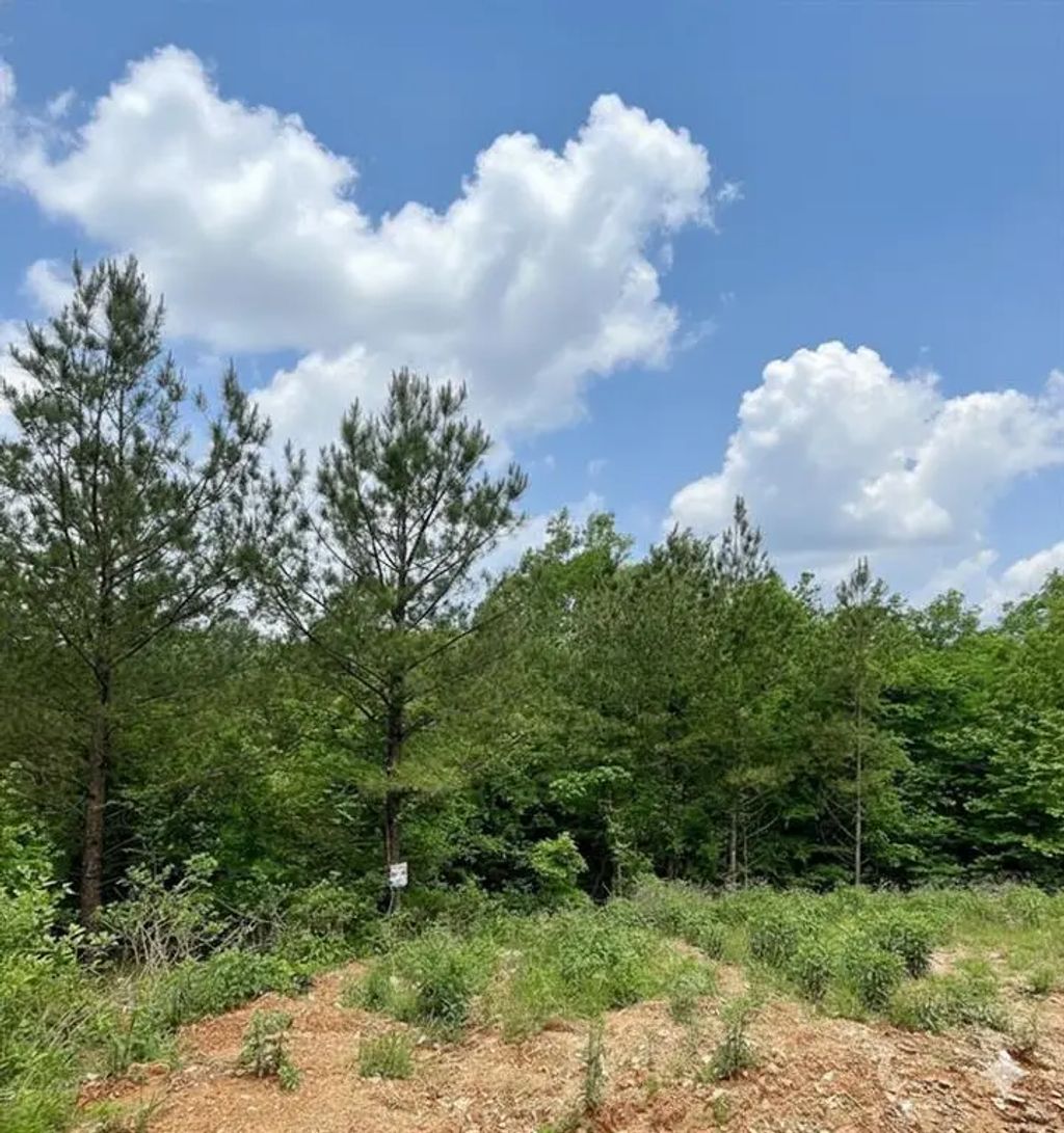 656 Timber Creek Trails South Xi, Broken Bow