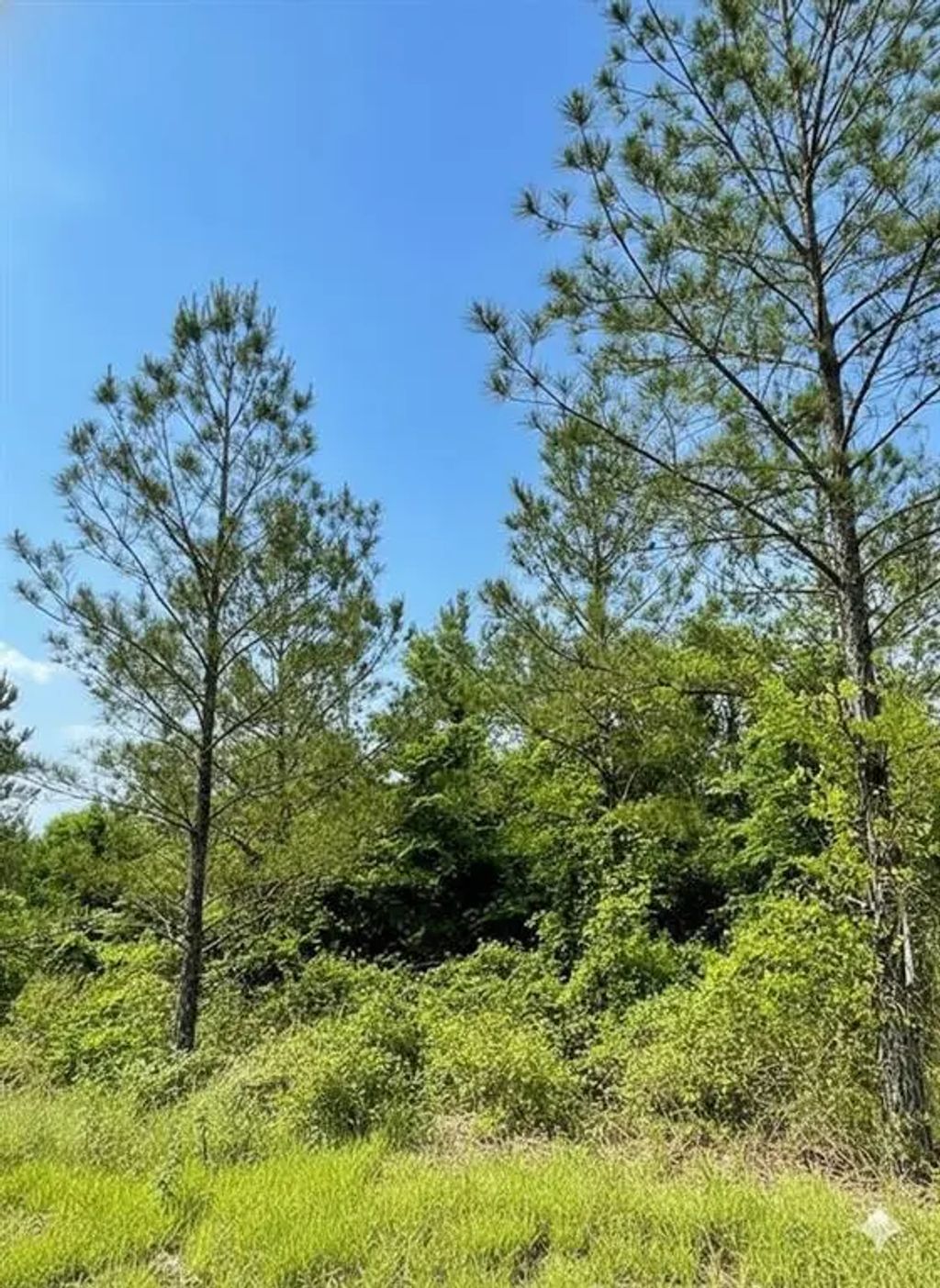 661 Timber Creek Trails South Xi, Broken Bow