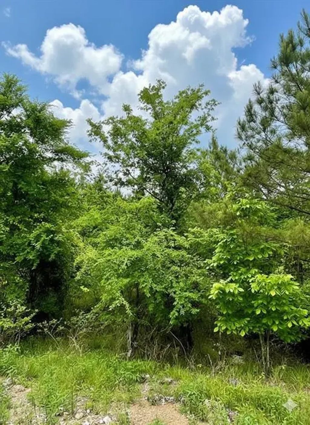 665 Timber Creek Trails South Xi, Broken Bow