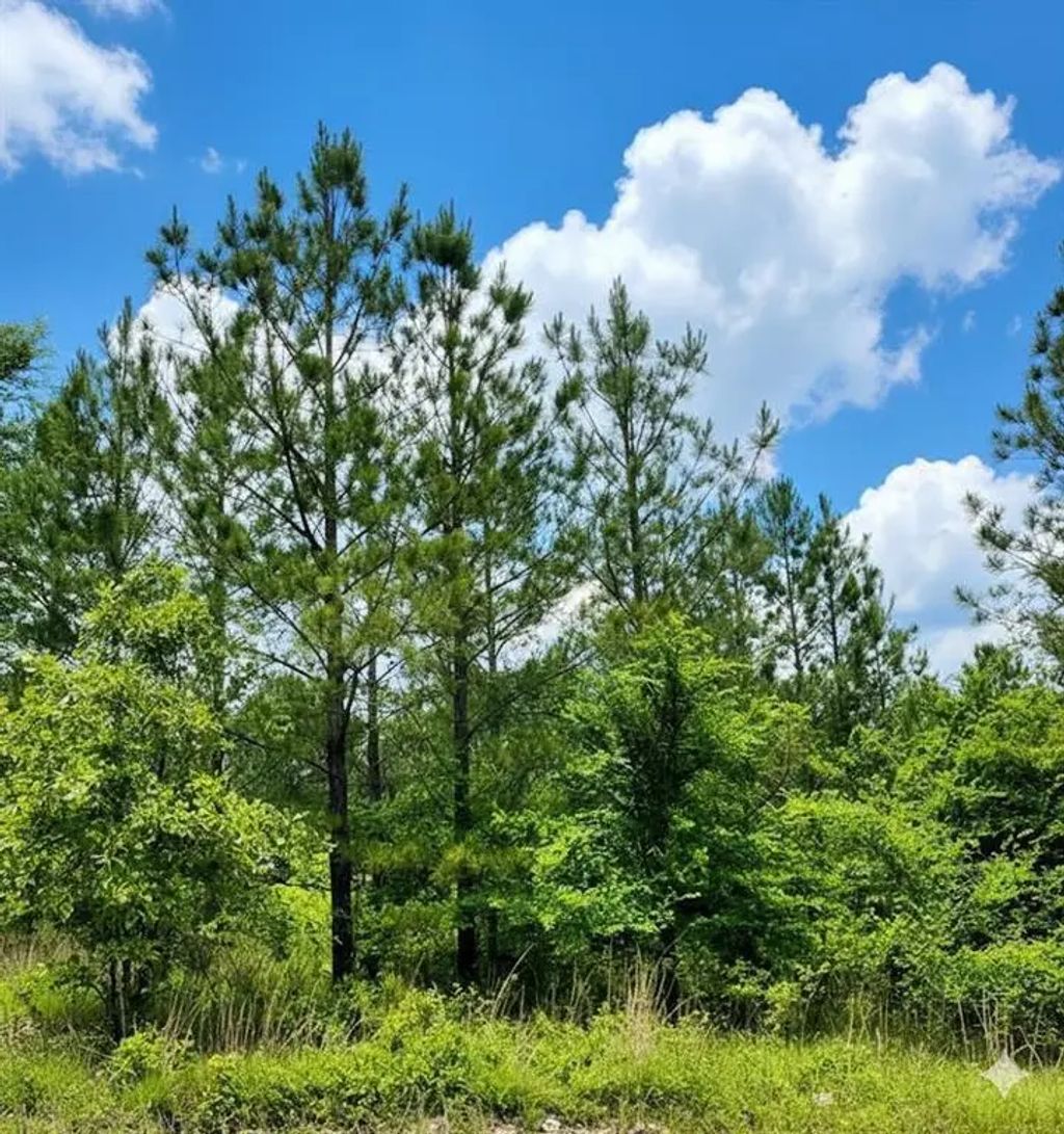 669 Timber Creek Trails South Xi, Broken Bow