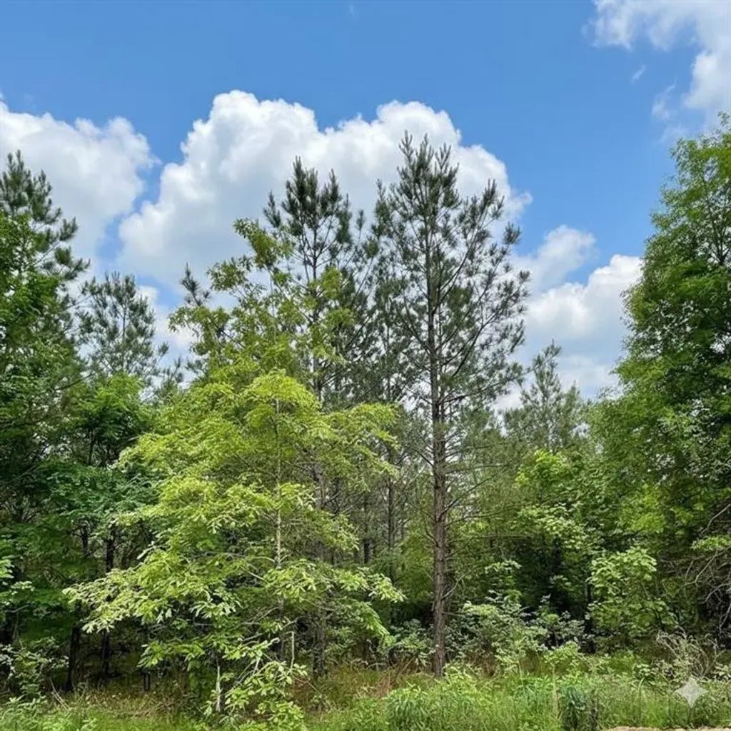 659 Timber Creek Trails South Xi, Broken Bow