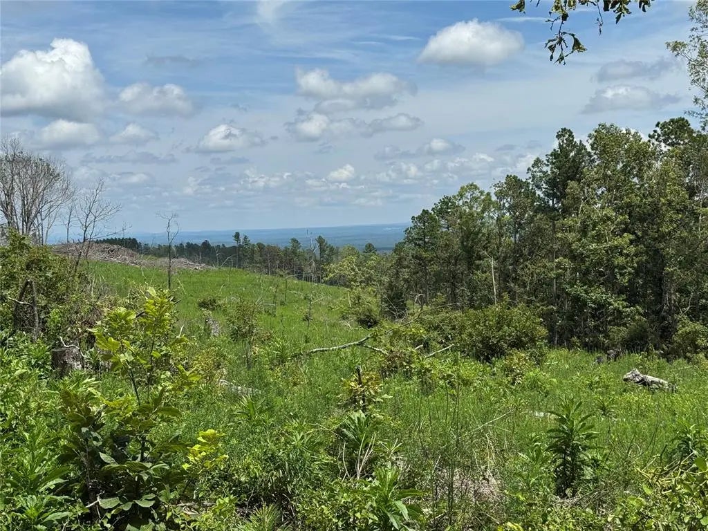 Marsh Loop, Smithville