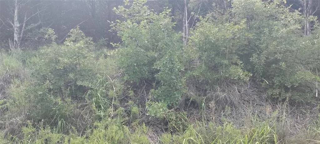 1 Rainbow Street, Minco