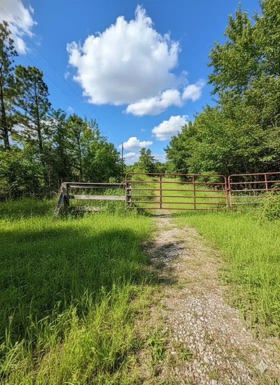 101 Perry Lane, Rattan