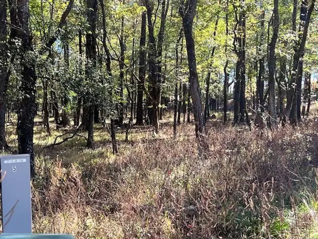 176 Deer Valley Circle, Broken Bow