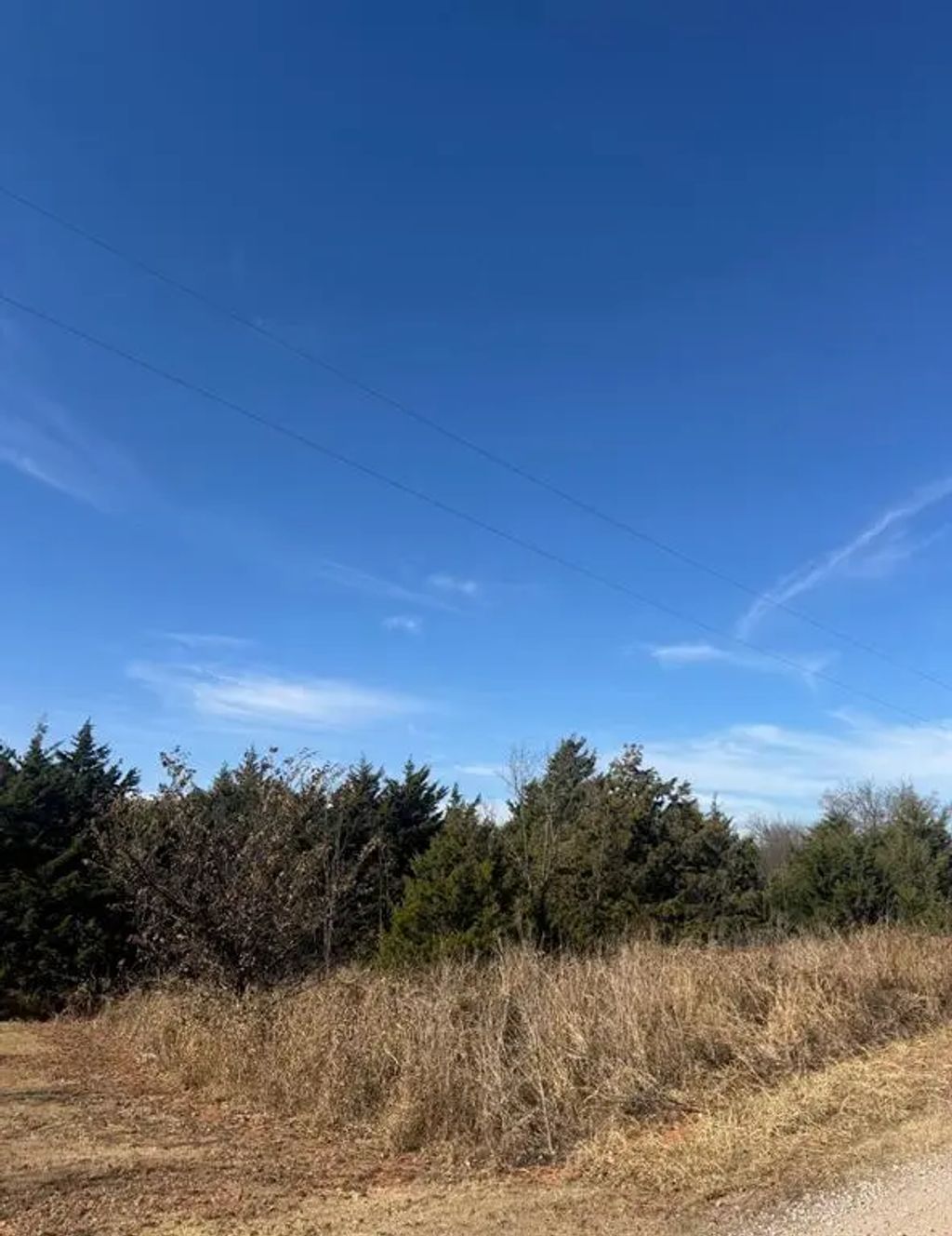 Cotton Wood Circle, Cashion