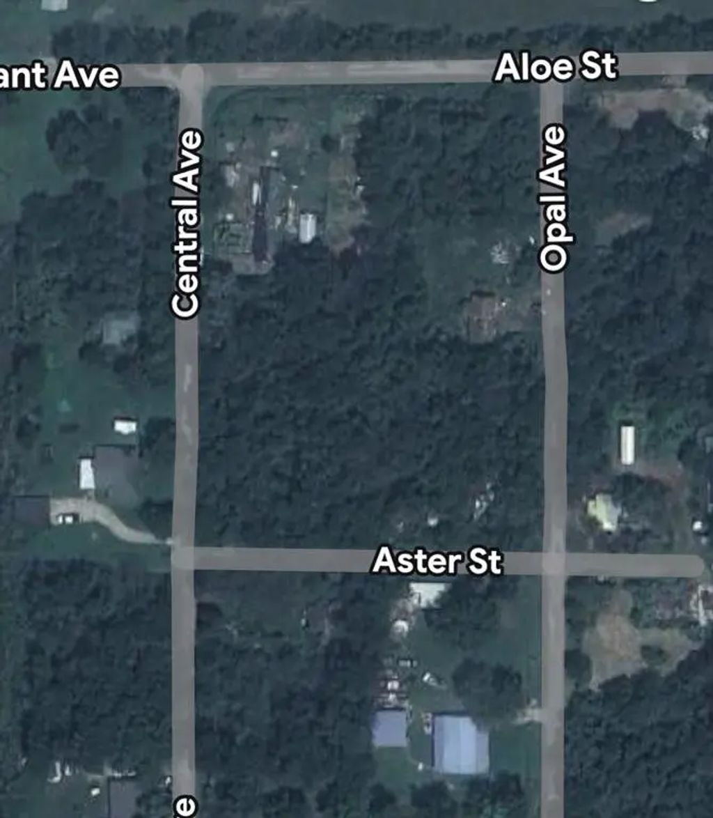 Central And Aster Avenue, Schulter