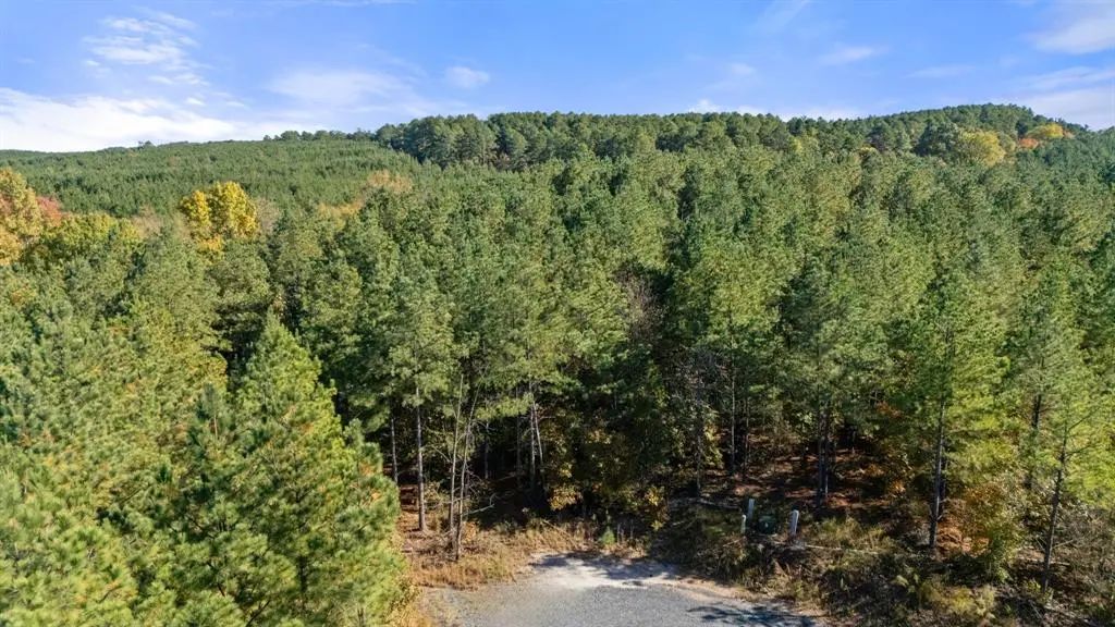 14 Gopher Wood Trail, Broken Bow