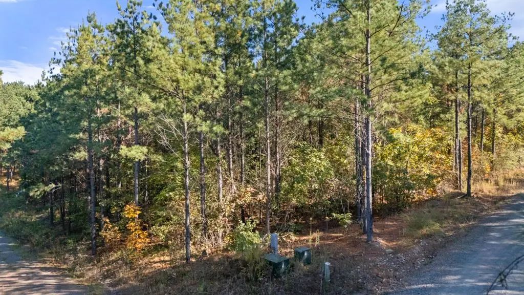 24 Cedar Tree Trail, Broken Bow