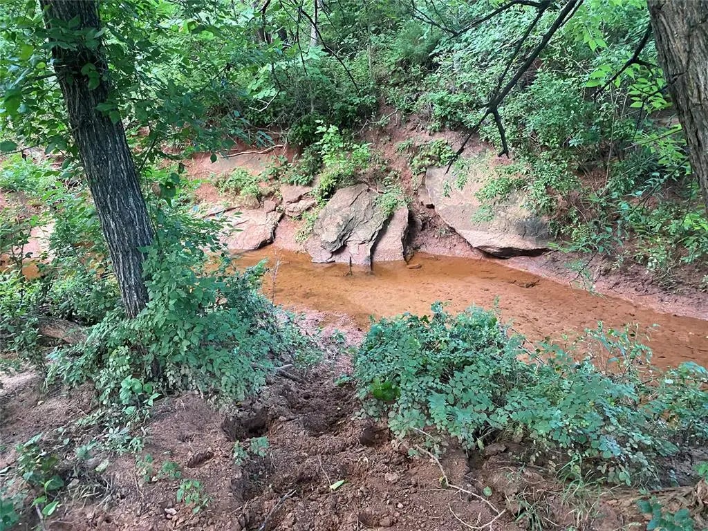 40 Acres Mol North Highway 74 And Cr 69, Crescent