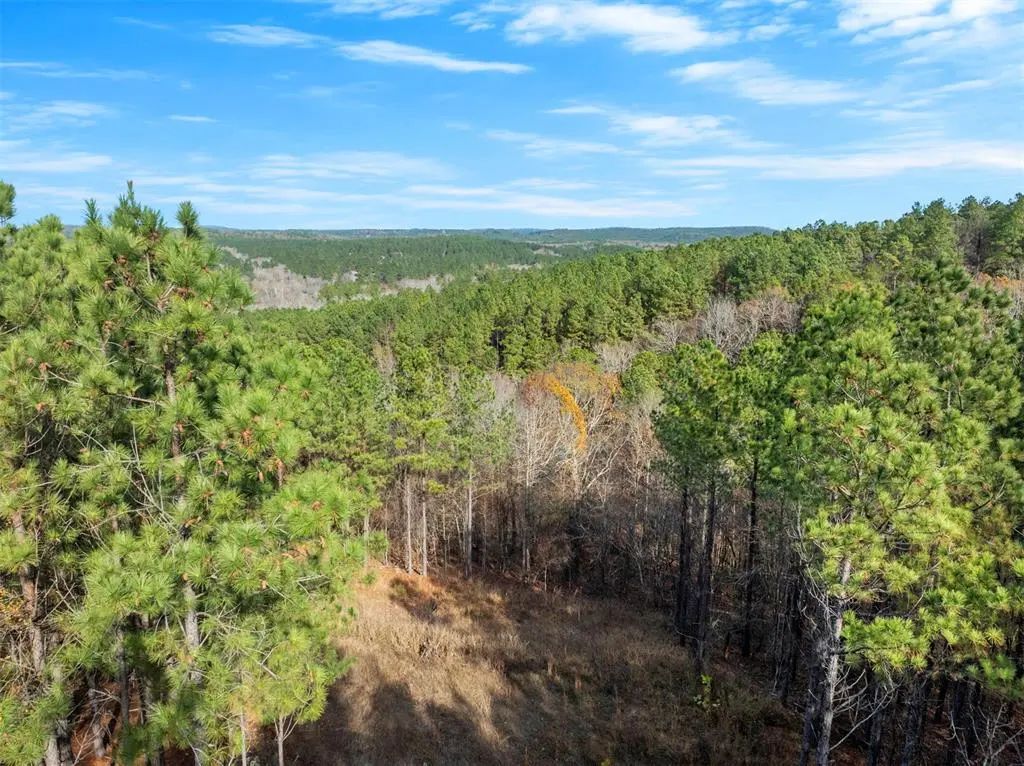 164 Timber Holler Trail Lot 504, Broken Bow