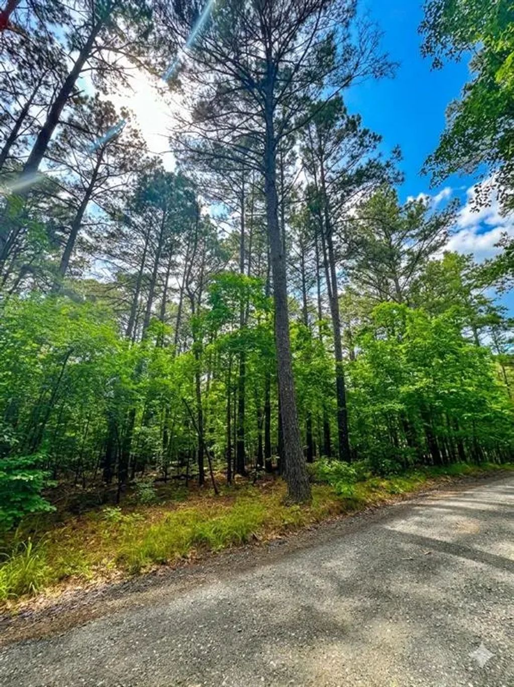 26 Mangrove Road, Broken Bow