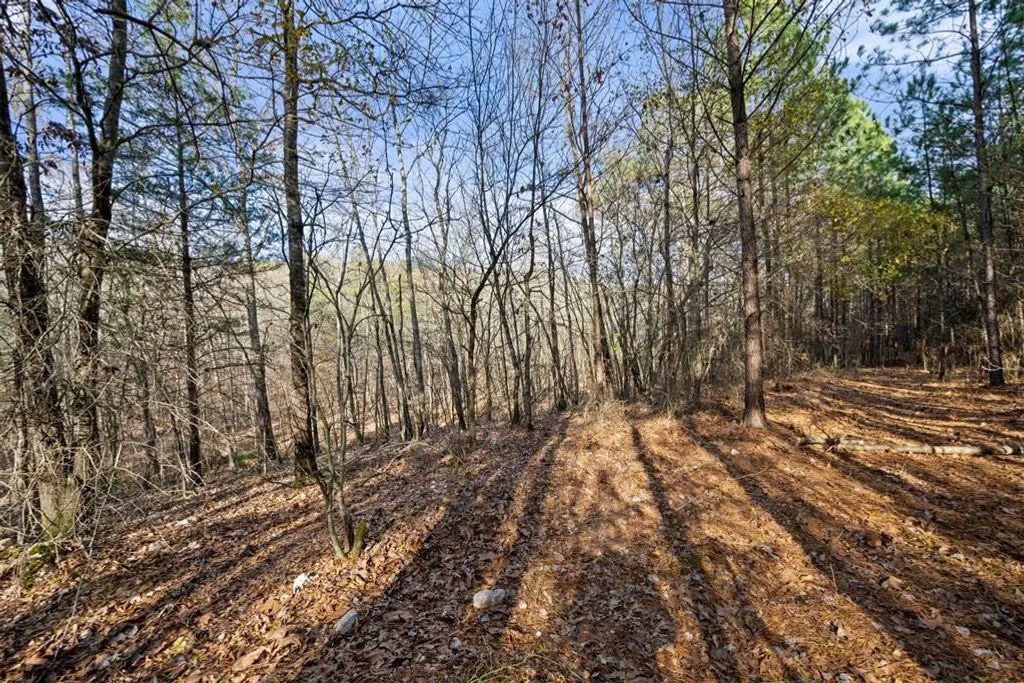 317 Marked Pine Lane, Broken Bow
