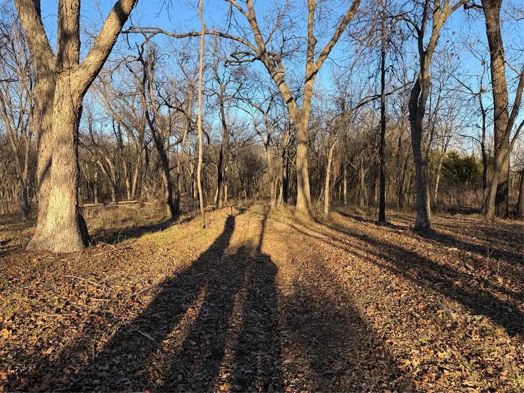 Mockingbird Lane, Shawnee