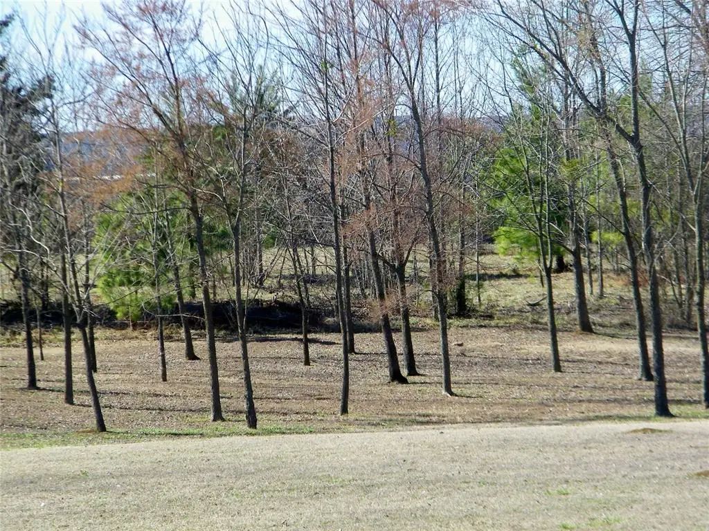 E Washington Street Lot 4, Idabel
