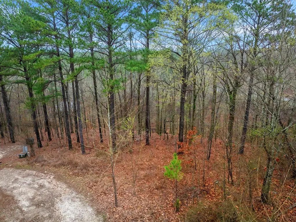 685 Long Pine Trail, Broken Bow