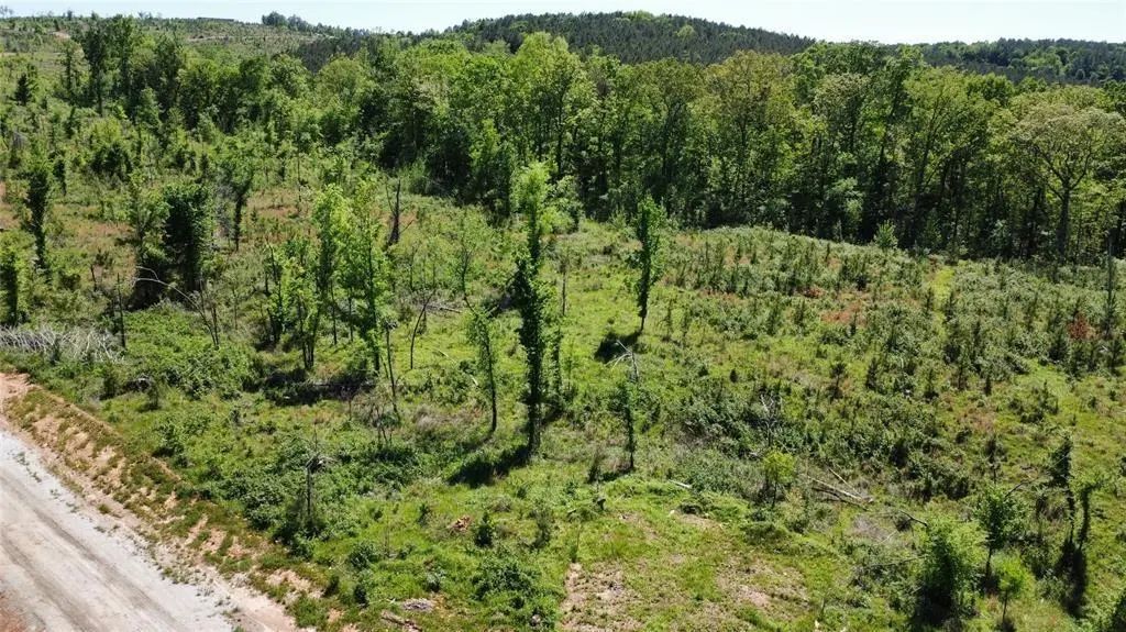 71 Woodland Ridge Trail, Broken Bow