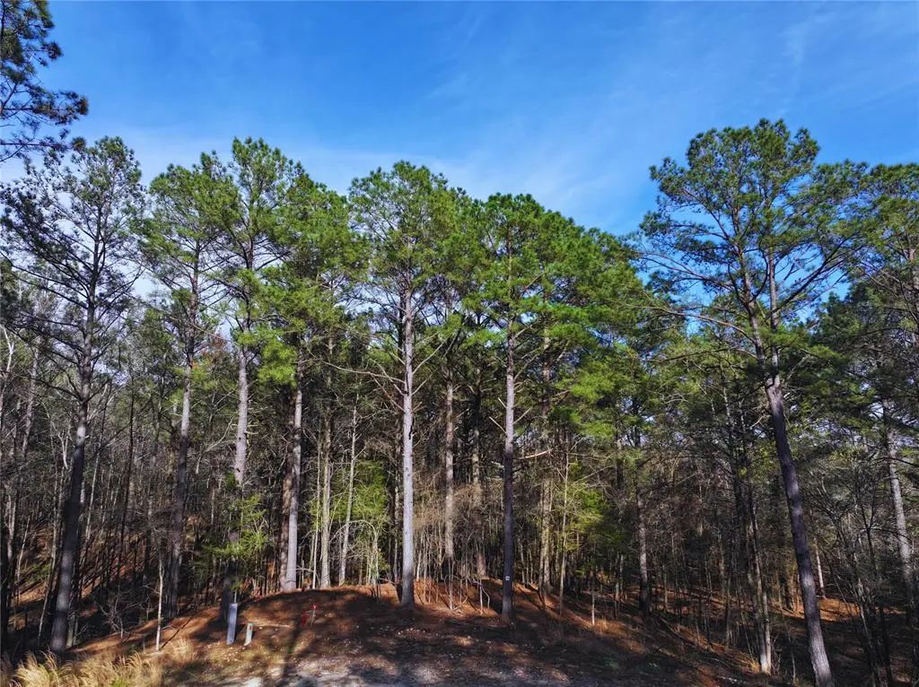 108 Hills Creek Trail, Broken Bow