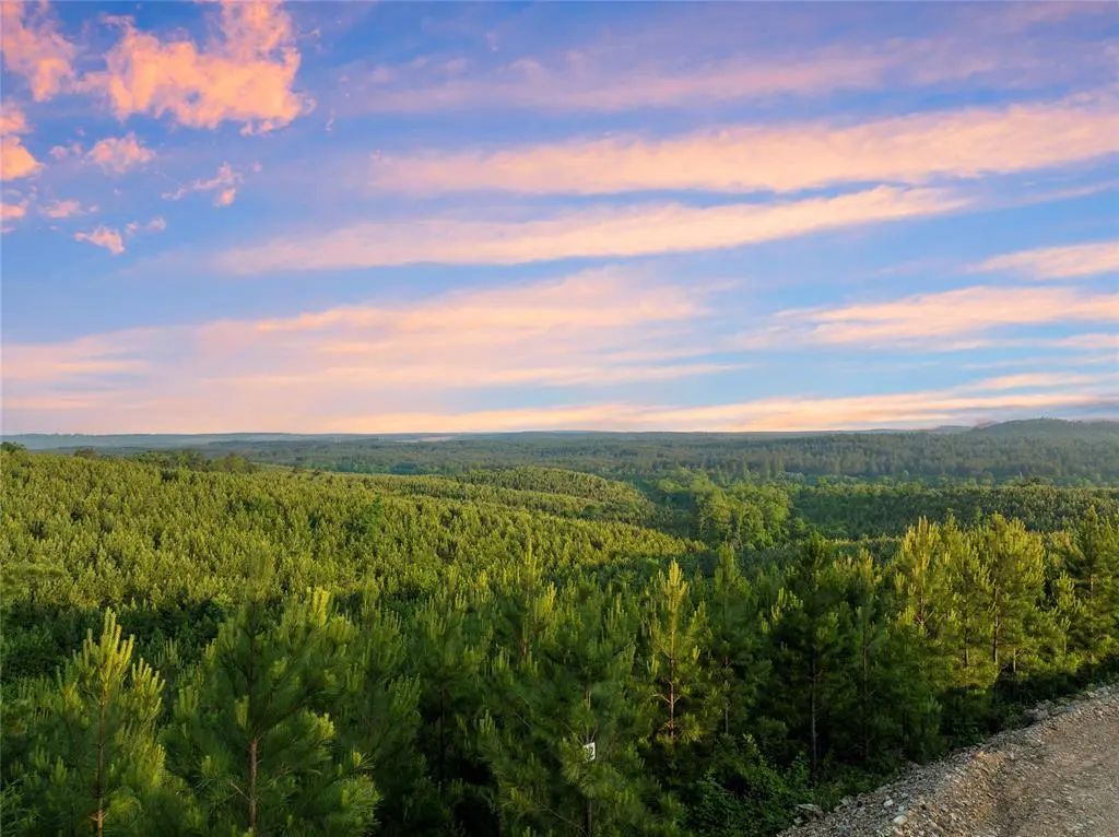 335 Monterey Oak Trail, Broken Bow