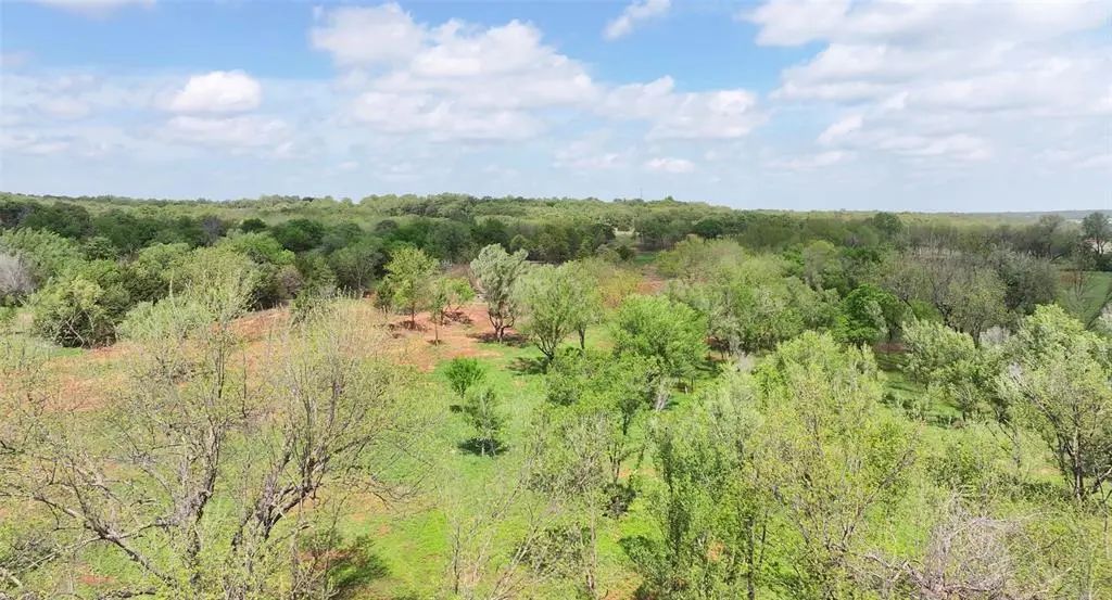 6 Wild Horse Creek, Luther