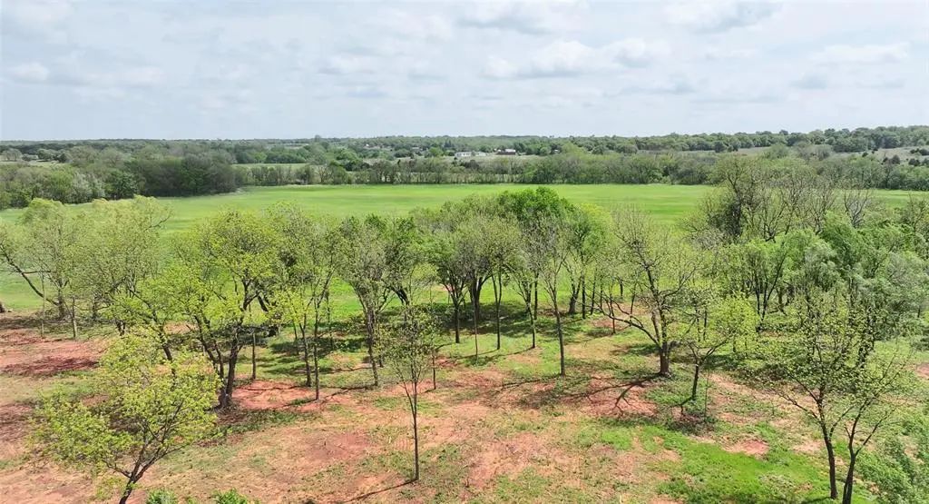 7 Wild Horse Creek, Luther
