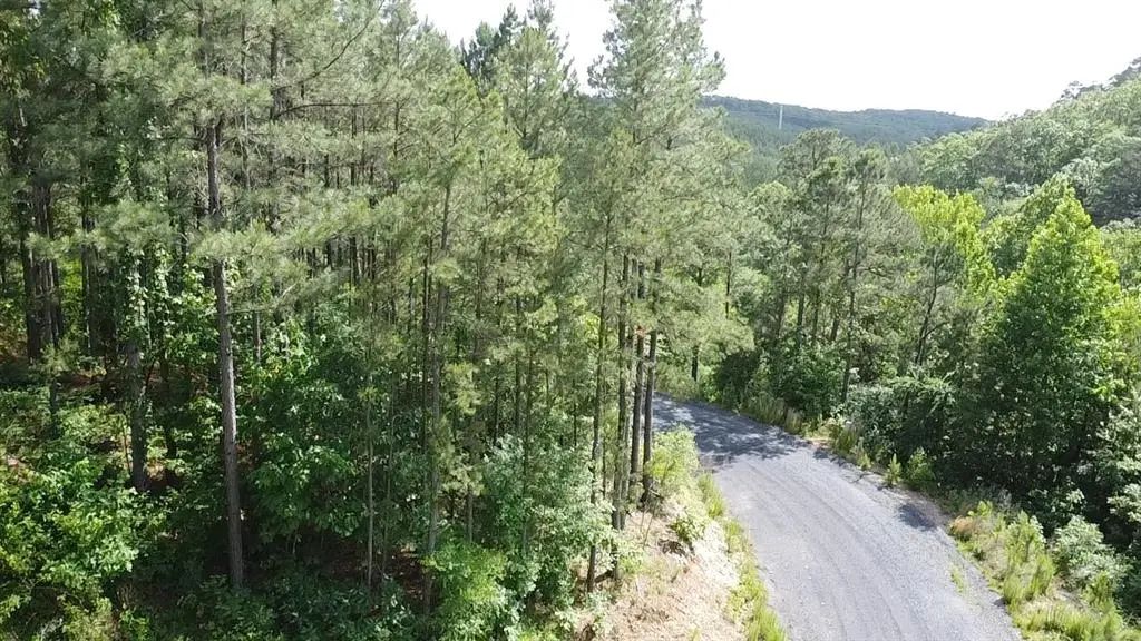 635 Virginia Pine Place, Broken Bow