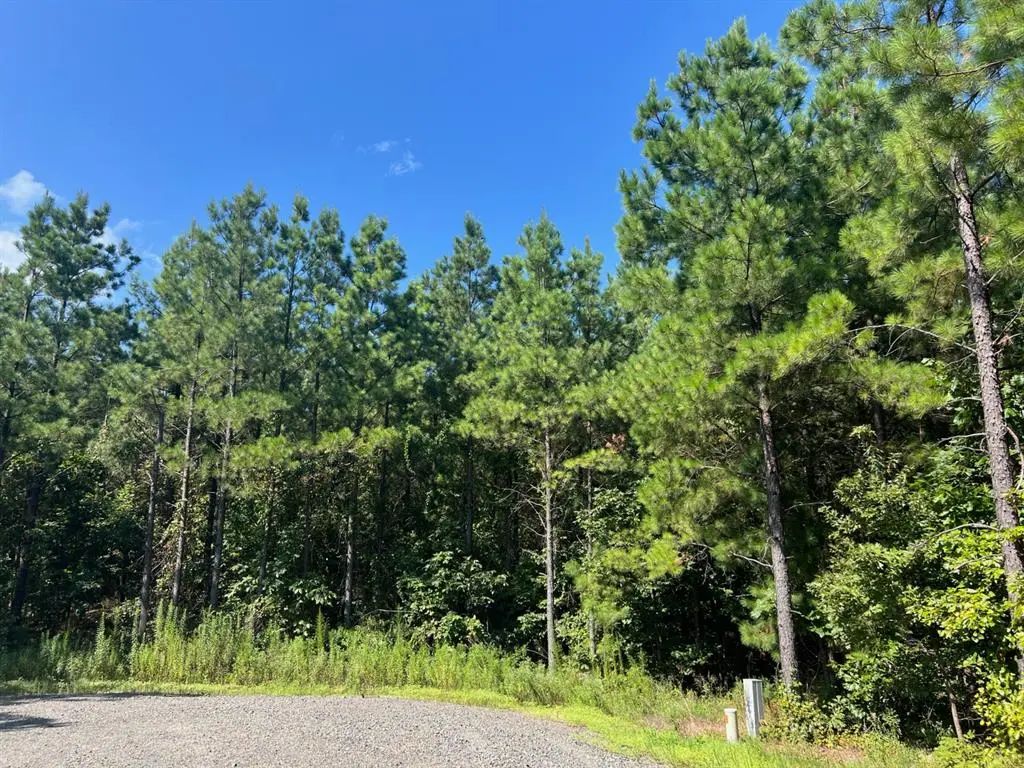 53 Weathered Timber Trail, Broken Bow
