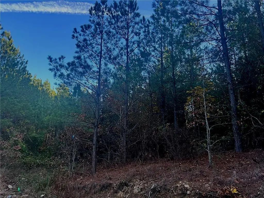 160 Red Fern Trail, Broken Bow