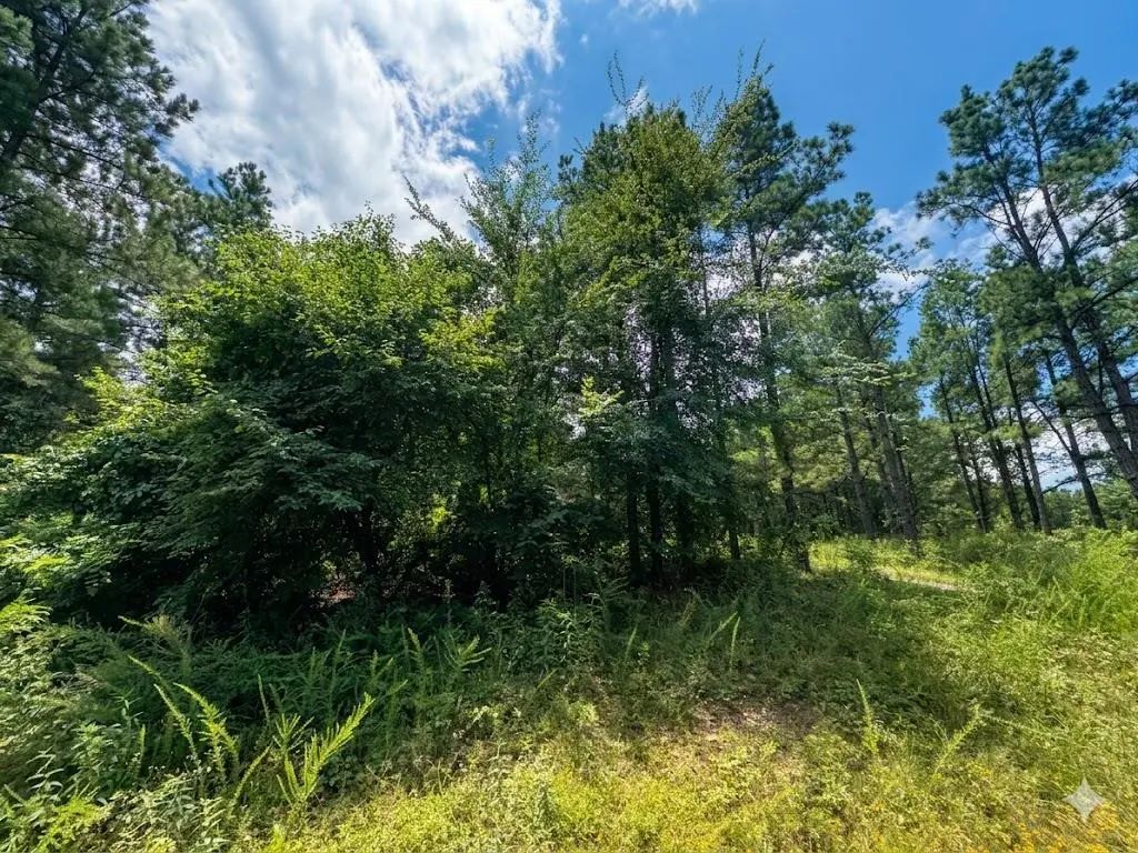 18 Boulder Path, Hochatown