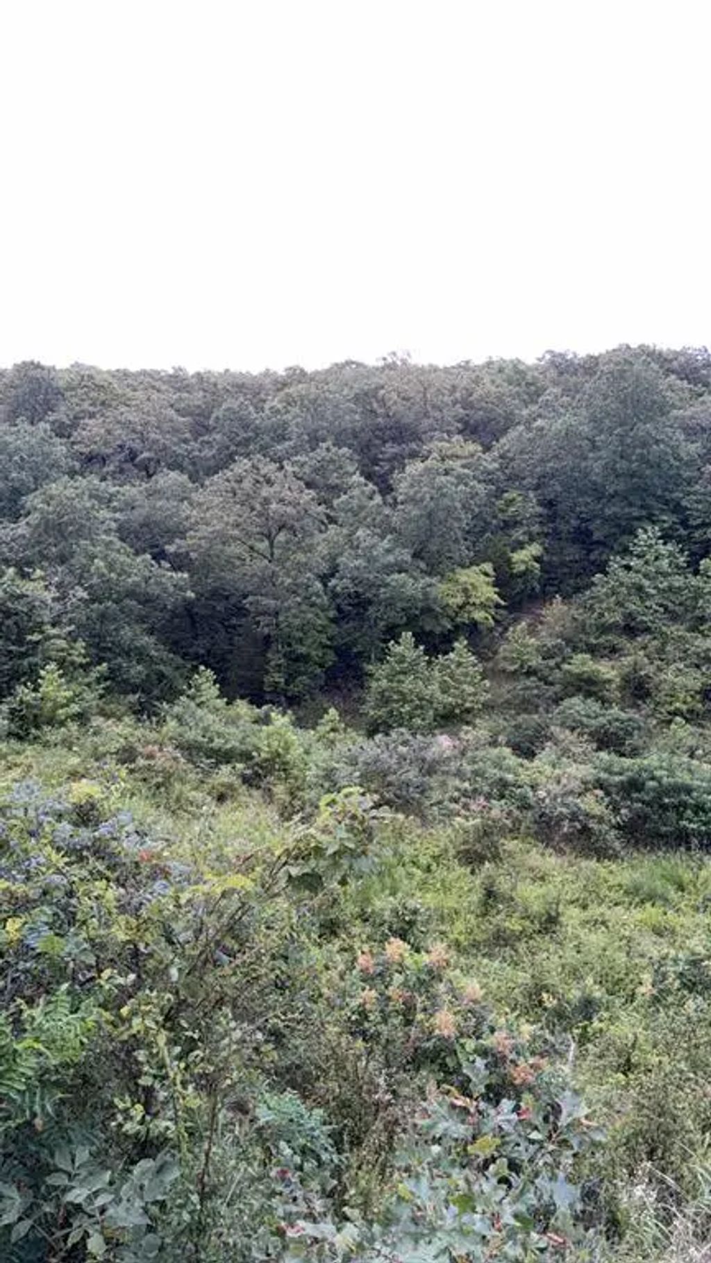 Near 81st Street, Muskogee