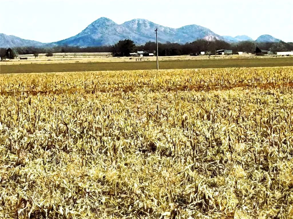 03 East County Road 159 -racetrack Road, Altus