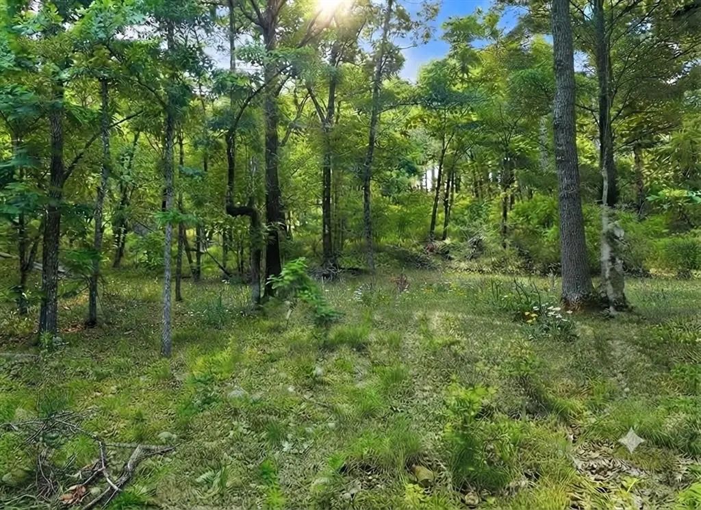 143 Western Cedar Trail, Broken Bow
