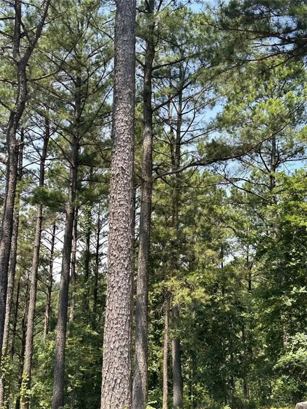 202 Crooked Cedar Trail, Broken Bow