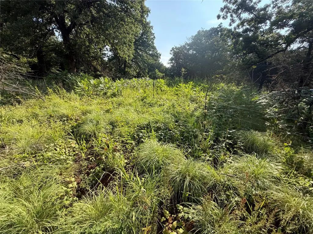 009 S Kelly Road, Agra