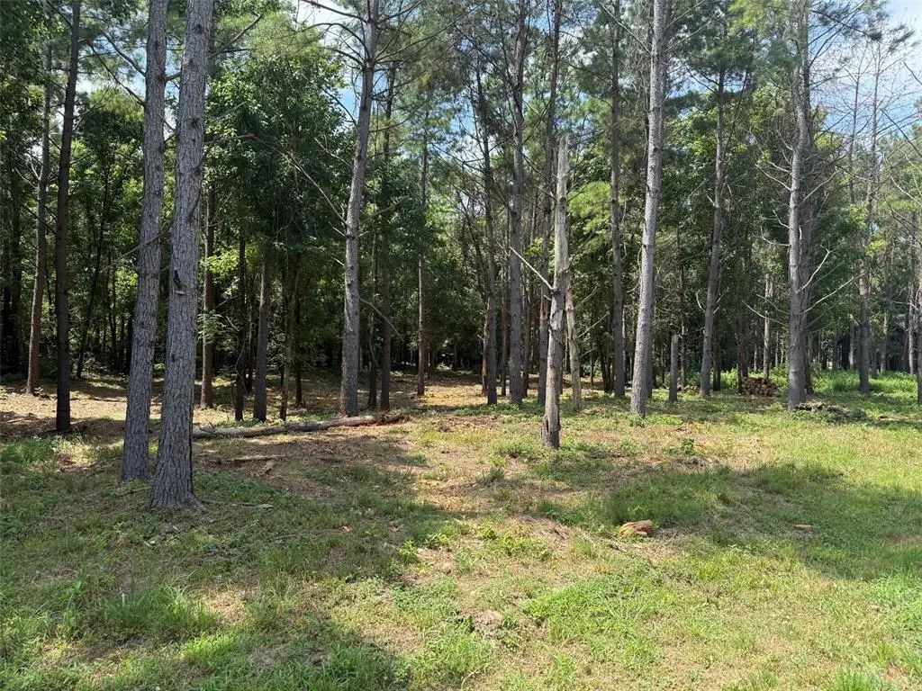 168 Cinnamon Teal Trail Lot 79, Broken Bow