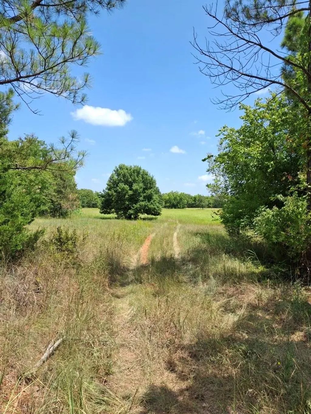 County Road 1460 Road, Ada