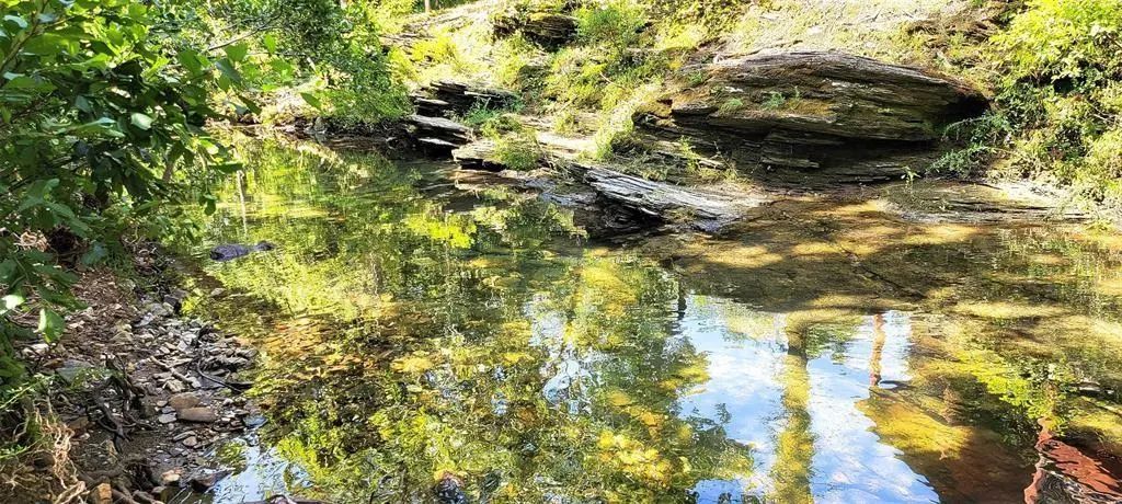 74 Creek Side Trail, Broken Bow