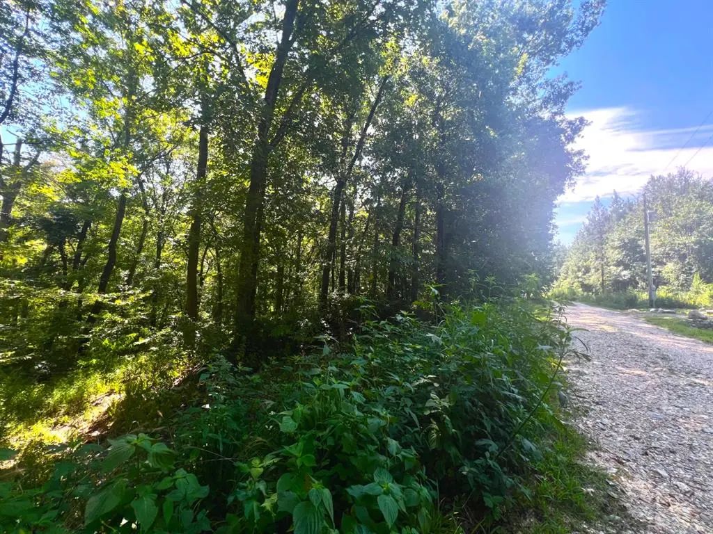 310 White Fox Lane, Broken Bow